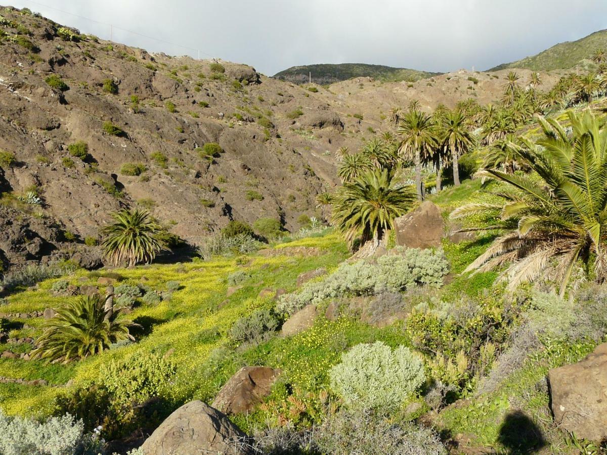 El Pirguan Holiday House, Your Oasis In La Gomera فاليهيرموسو المظهر الخارجي الصورة