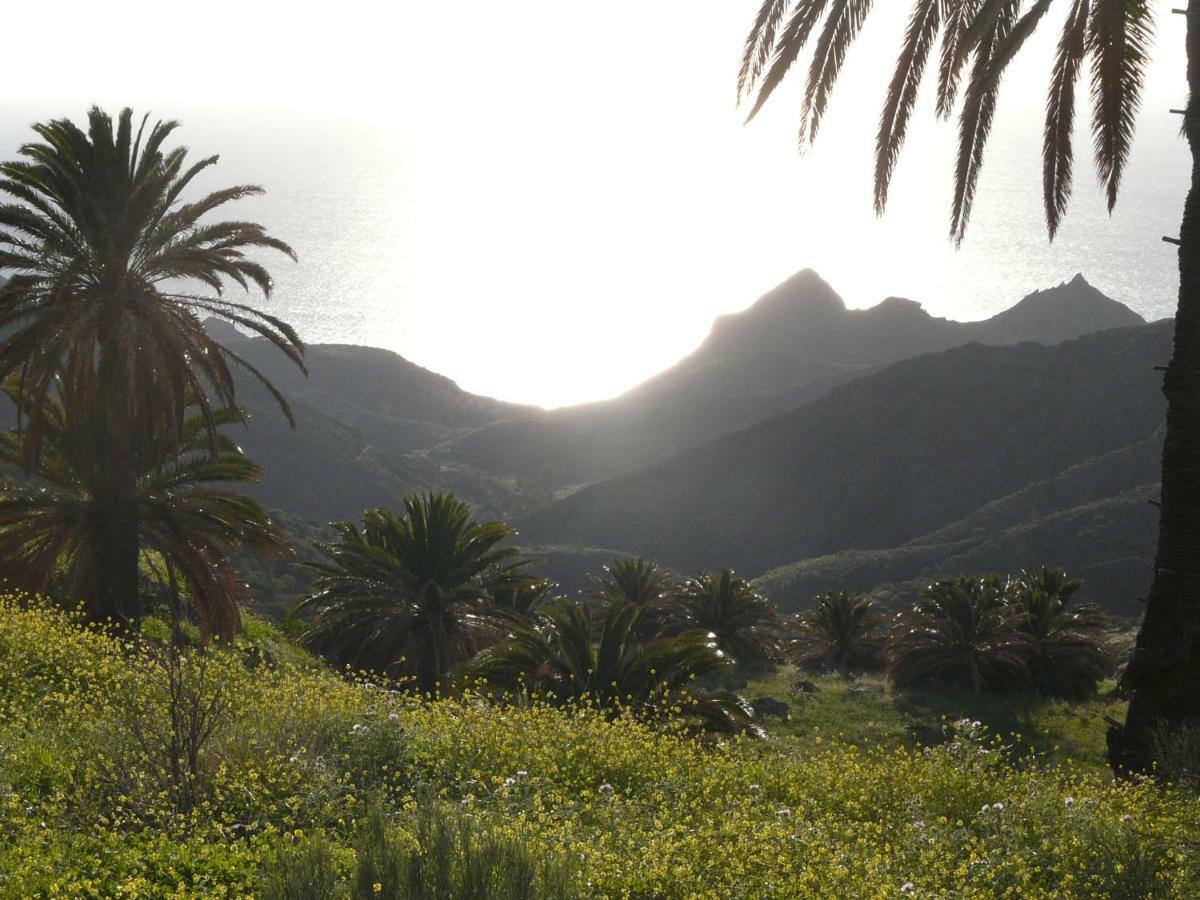 El Pirguan Holiday House, Your Oasis In La Gomera فاليهيرموسو المظهر الخارجي الصورة