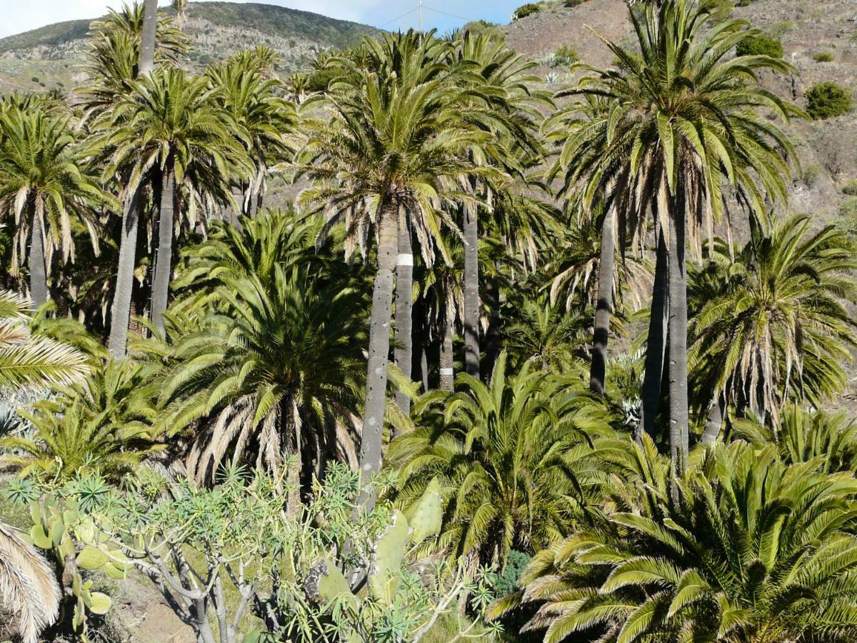 El Pirguan Holiday House, Your Oasis In La Gomera فاليهيرموسو المظهر الخارجي الصورة