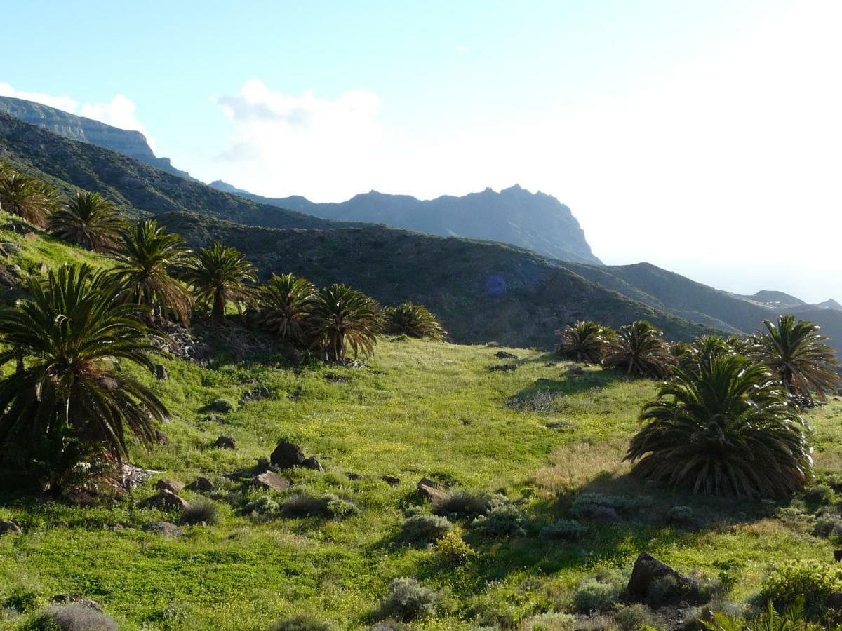 El Pirguan Holiday House, Your Oasis In La Gomera فاليهيرموسو المظهر الخارجي الصورة