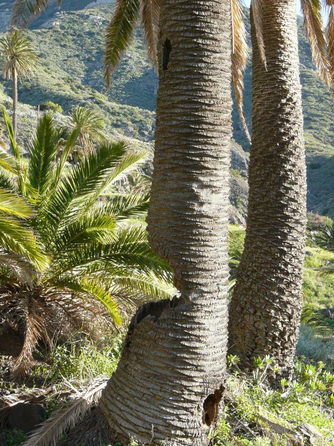 El Pirguan Holiday House, Your Oasis In La Gomera فاليهيرموسو المظهر الخارجي الصورة
