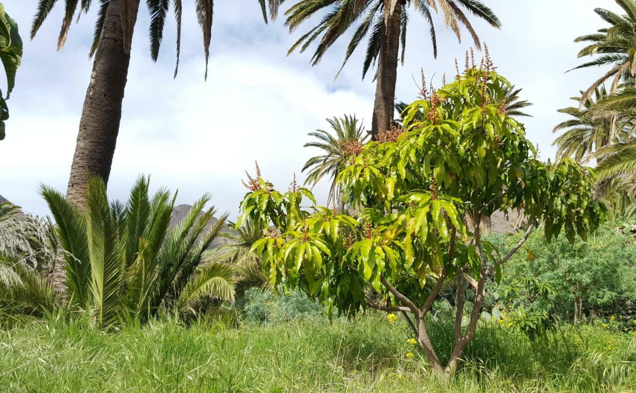 El Pirguan Holiday House, Your Oasis In La Gomera فاليهيرموسو المظهر الخارجي الصورة